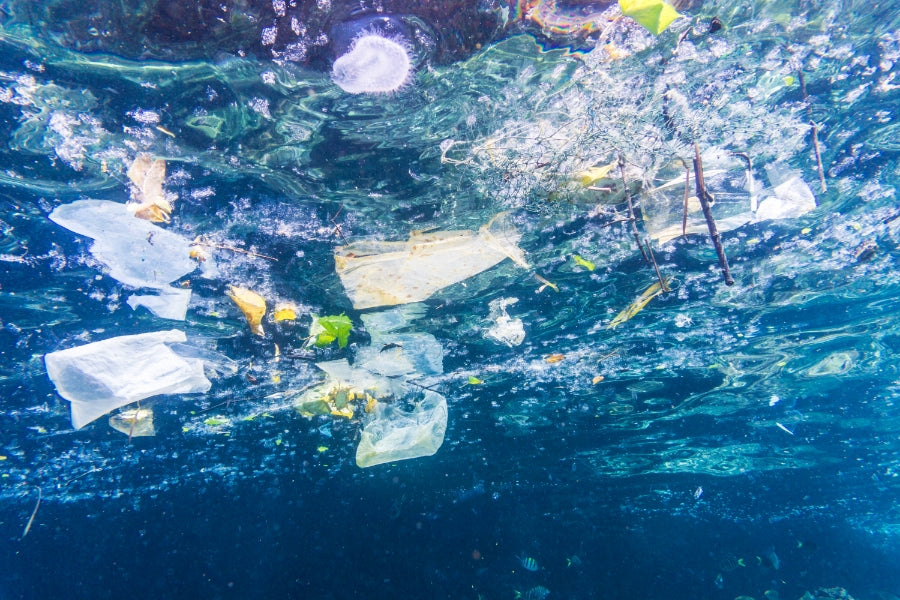 Az óceántól megmentett műanyag (Prevented Ocean Plastic, röviden POP) segíthet az óceáni műanyag elleni küzdelemben